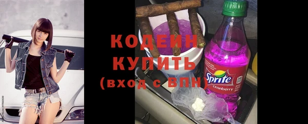 МДПВ Богородск