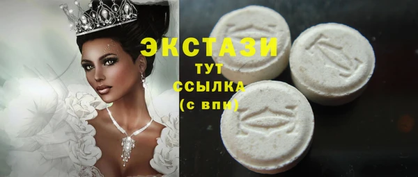 гашик Богородицк