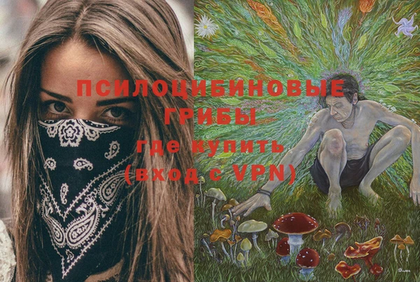 гашик Богородицк