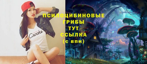 МДПВ Богородск
