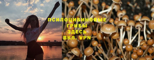 гашик Богородицк