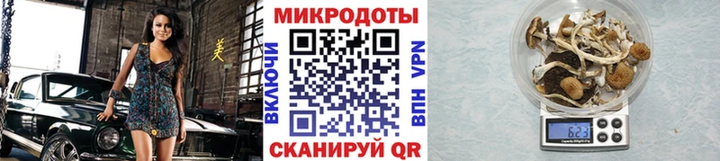 купить наркотик  Коркино  нарко площадка официальный сайт  Псилоцибиновые грибы Psilocybine cubensis 